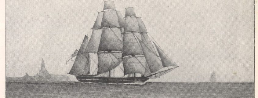 źródło: http://darwin-online.org.uk/graphics/illustrations.html